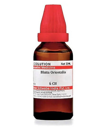 https://cdn.shopify.com/s/files/1/1857/6931/products/Txkcm6SGll.jpg?v=1640863947